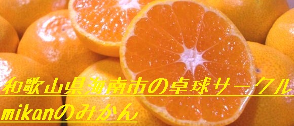 mikan�݂̂��� �g�b�v�y�[�W���S